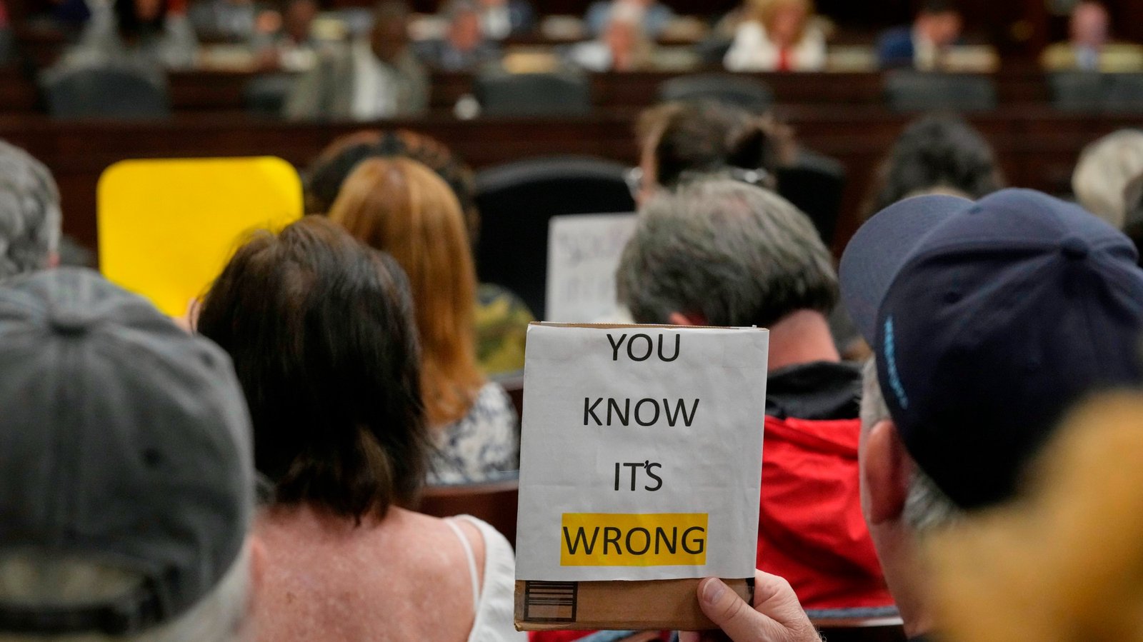 After SCOTUS Destroyed the Voting Rights Act, Southern States Rush to Pass Jim Crow Voting Maps
