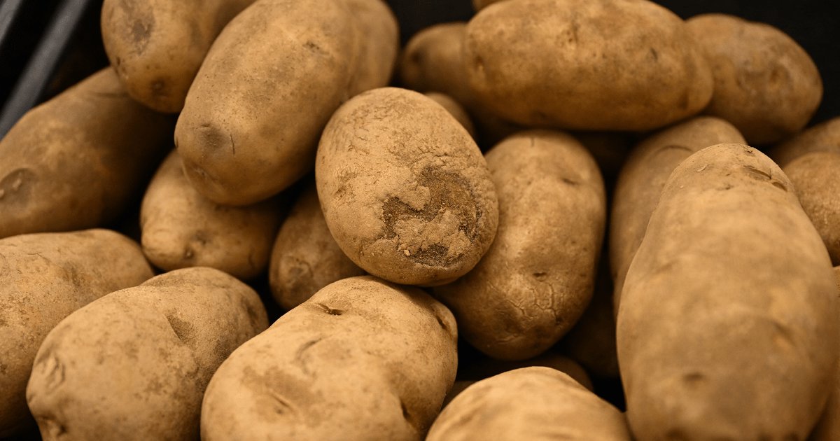 In Bizarre Attack on Solar Power, Lawmakers Spread Myths About Spud Farms