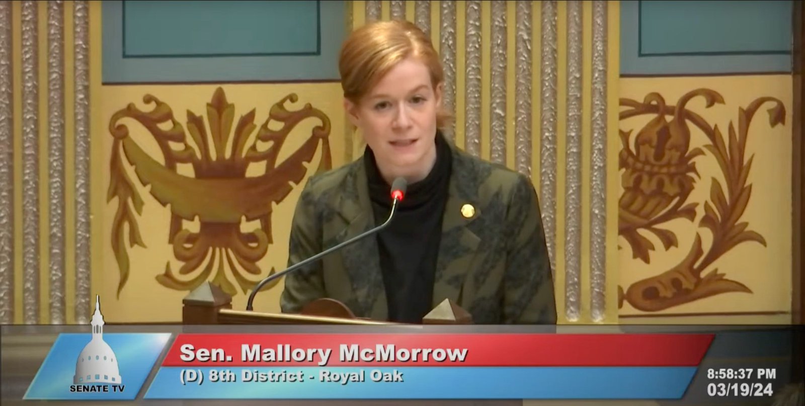 Michigan Democratic Senate Candidate Privately Drafted “Outstanding” AIPAC Position Paper, Supporter Claims