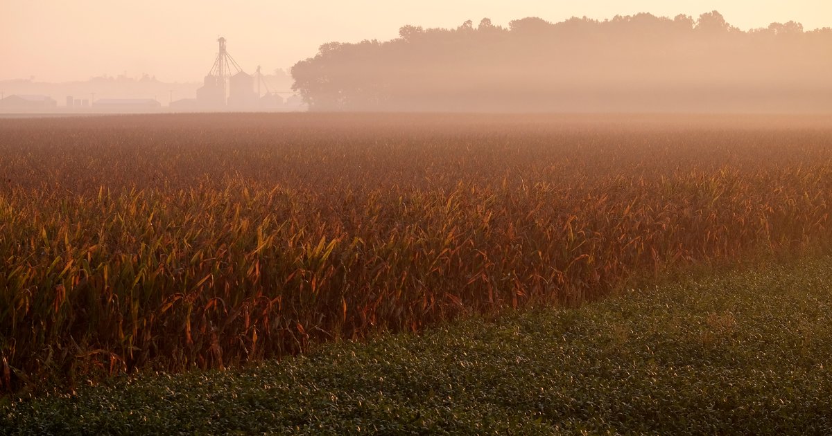 “Huge Wave” of Carbon Storage Projects Sets off Alarms in Rural Indiana