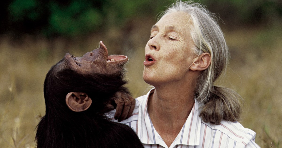 Jane Goodall’s Final, Urgent, Message