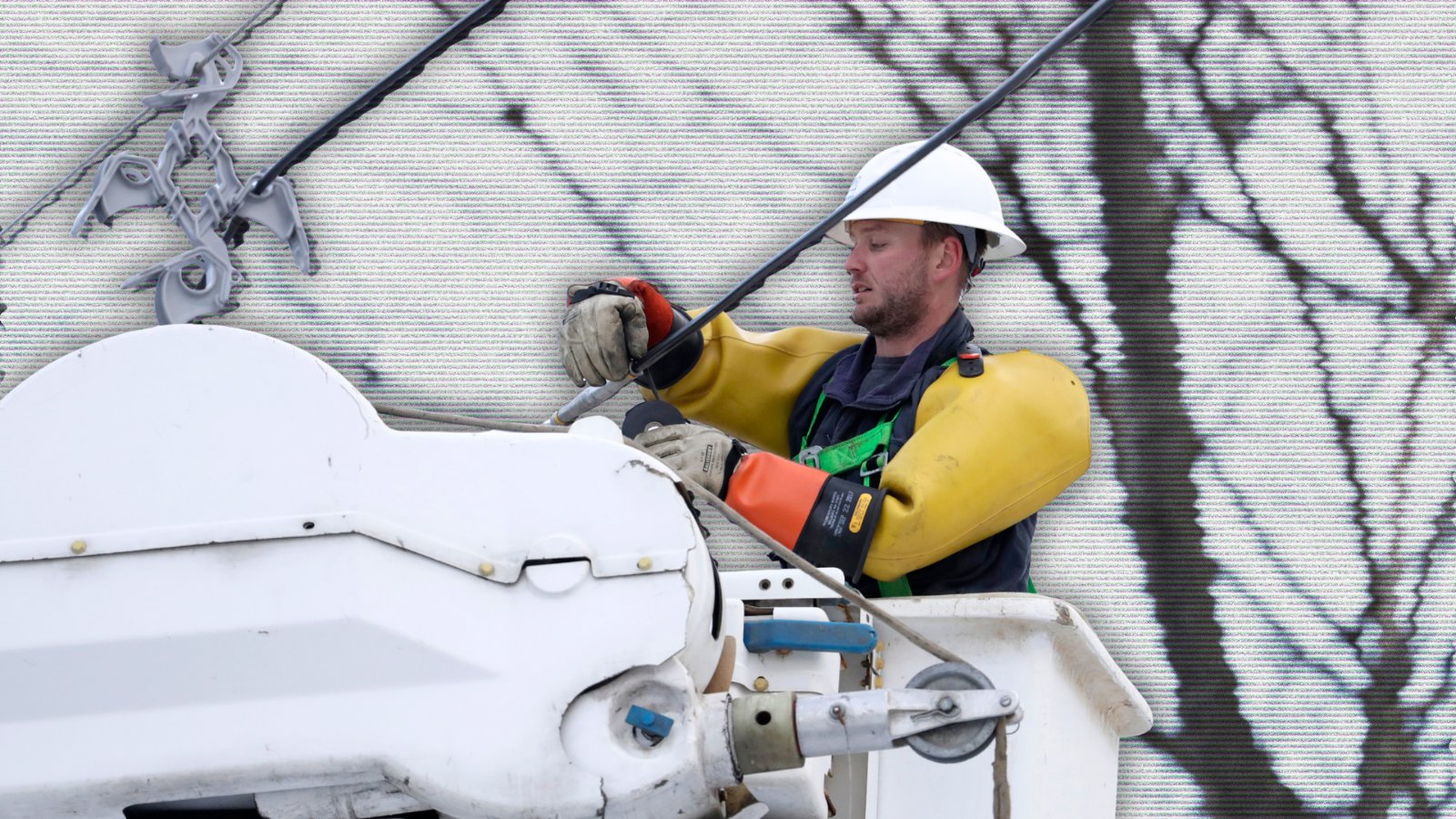  Data Center Boom Risks Blackouts, Energy Watchdog Warns 