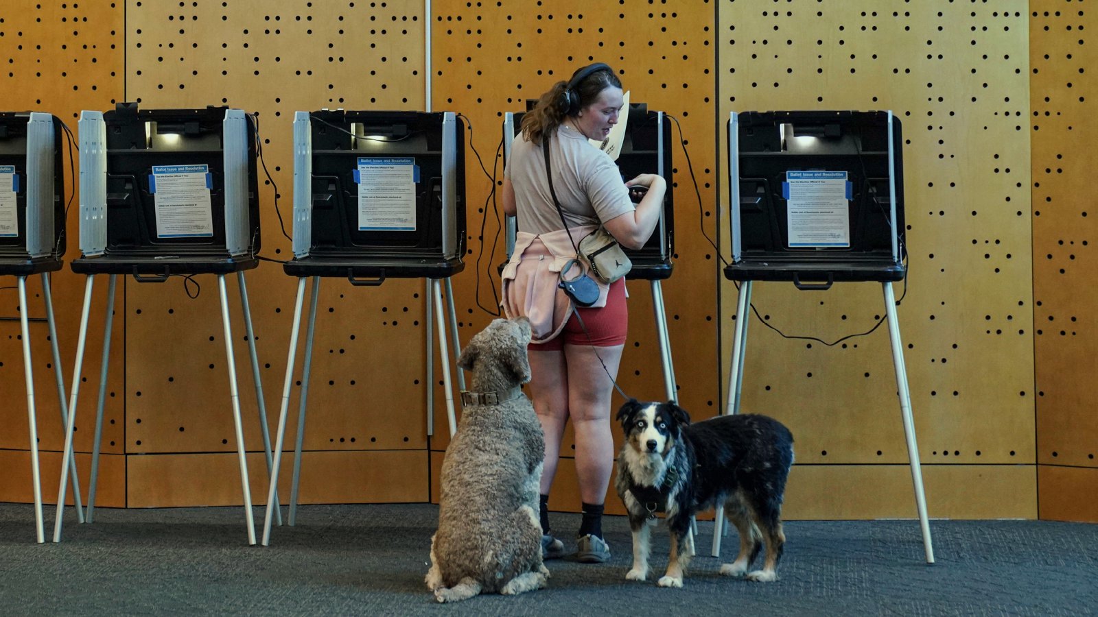  You Love To See It: Voting Unleashed 