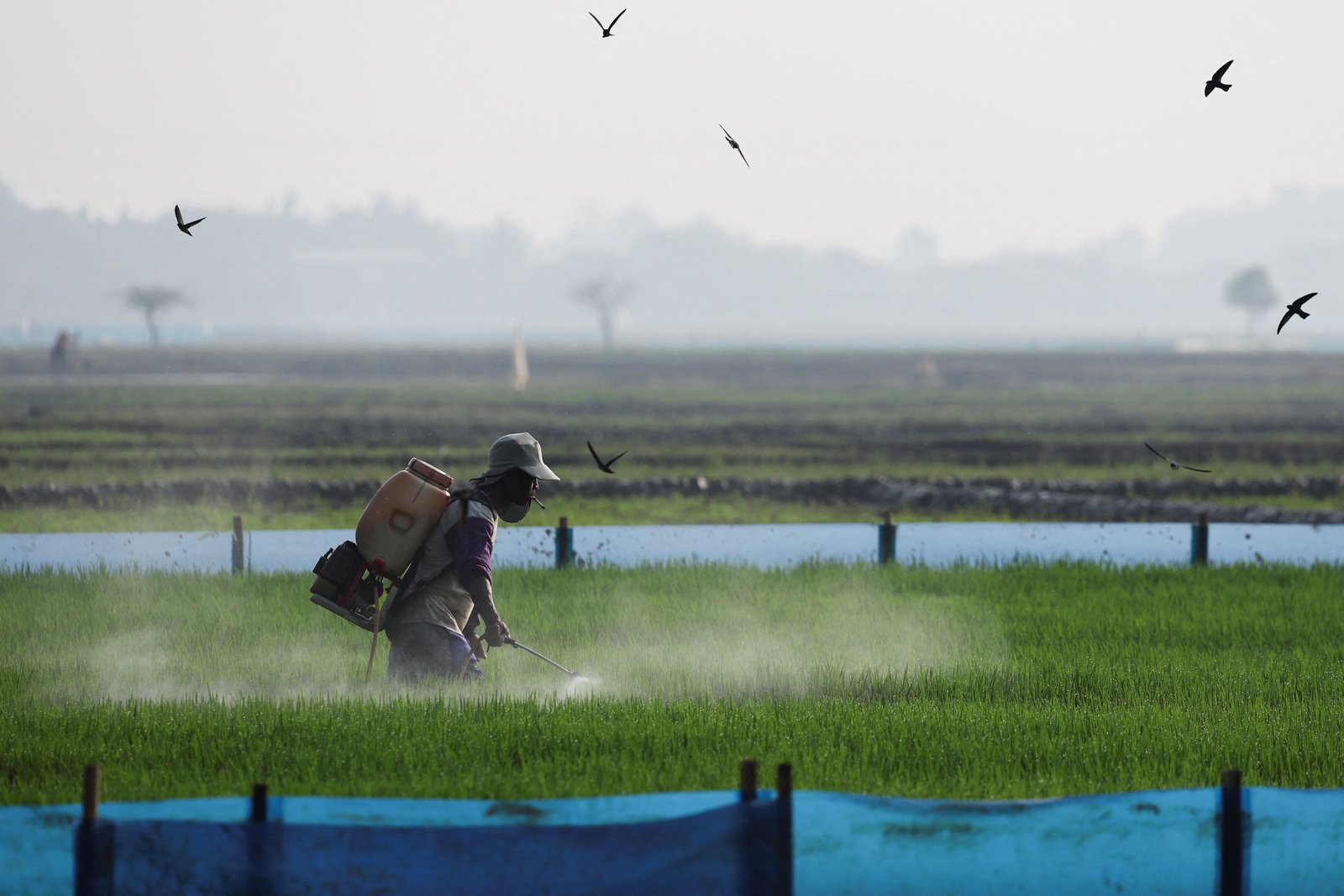 Poorer nations face fertilizer hit as prices soar