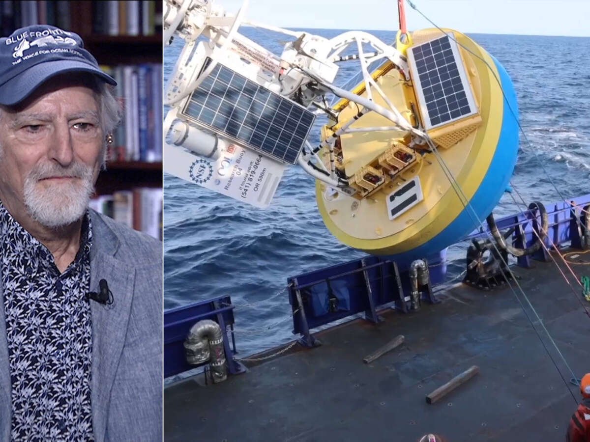 Trump Admin Is Turning Ocean Into a Gas Station and Garbage Dump, Expert Says