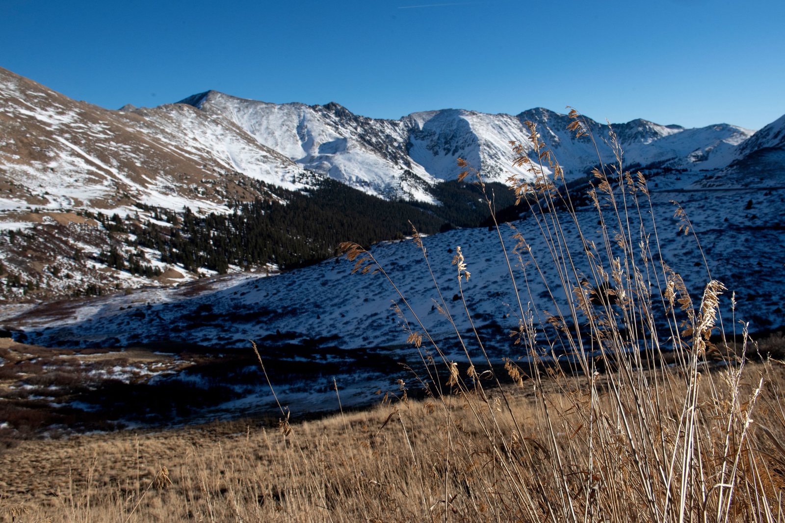 Two thirds of US hit by drought or unusually dry winter