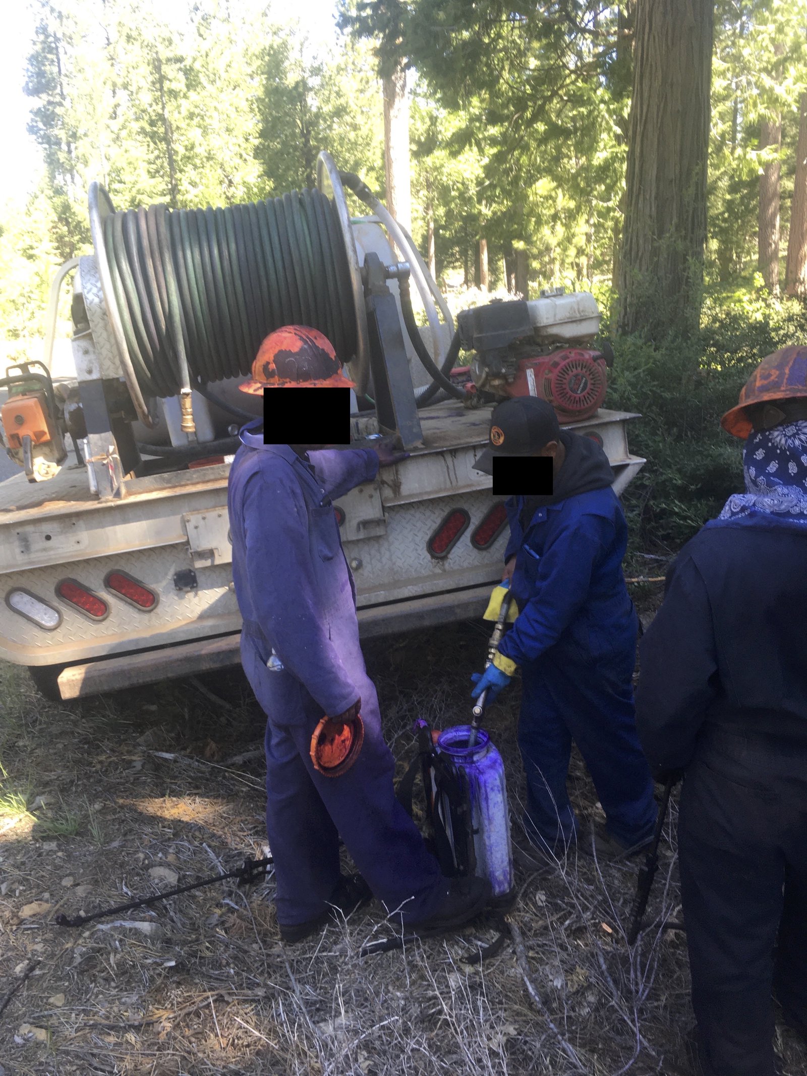 Lawmakers Demand Answers After We Revealed Forest Service Spraying Roundup All Over Public Lands