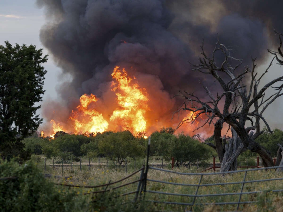 Wildfires Are Sweeping North America. Trump Fired the People Who Fight Them.