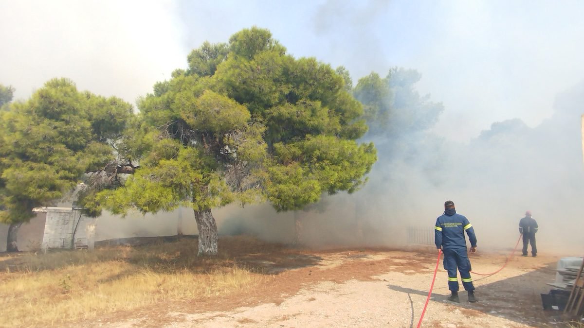 Greece faces rapidly spreading wildfires amid firefighter shortages