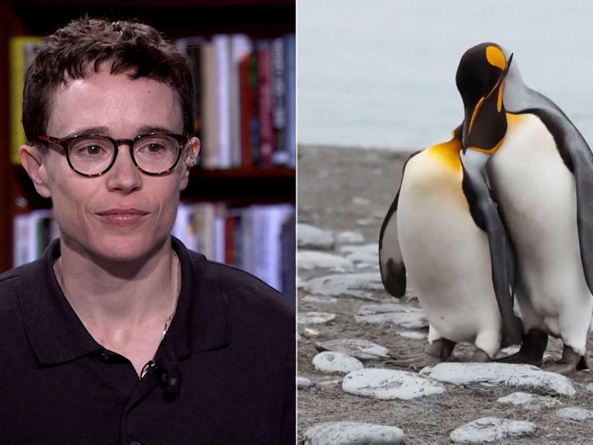 New Documentary Highlights Reality of Gender and Sexual Diversity Across Nature