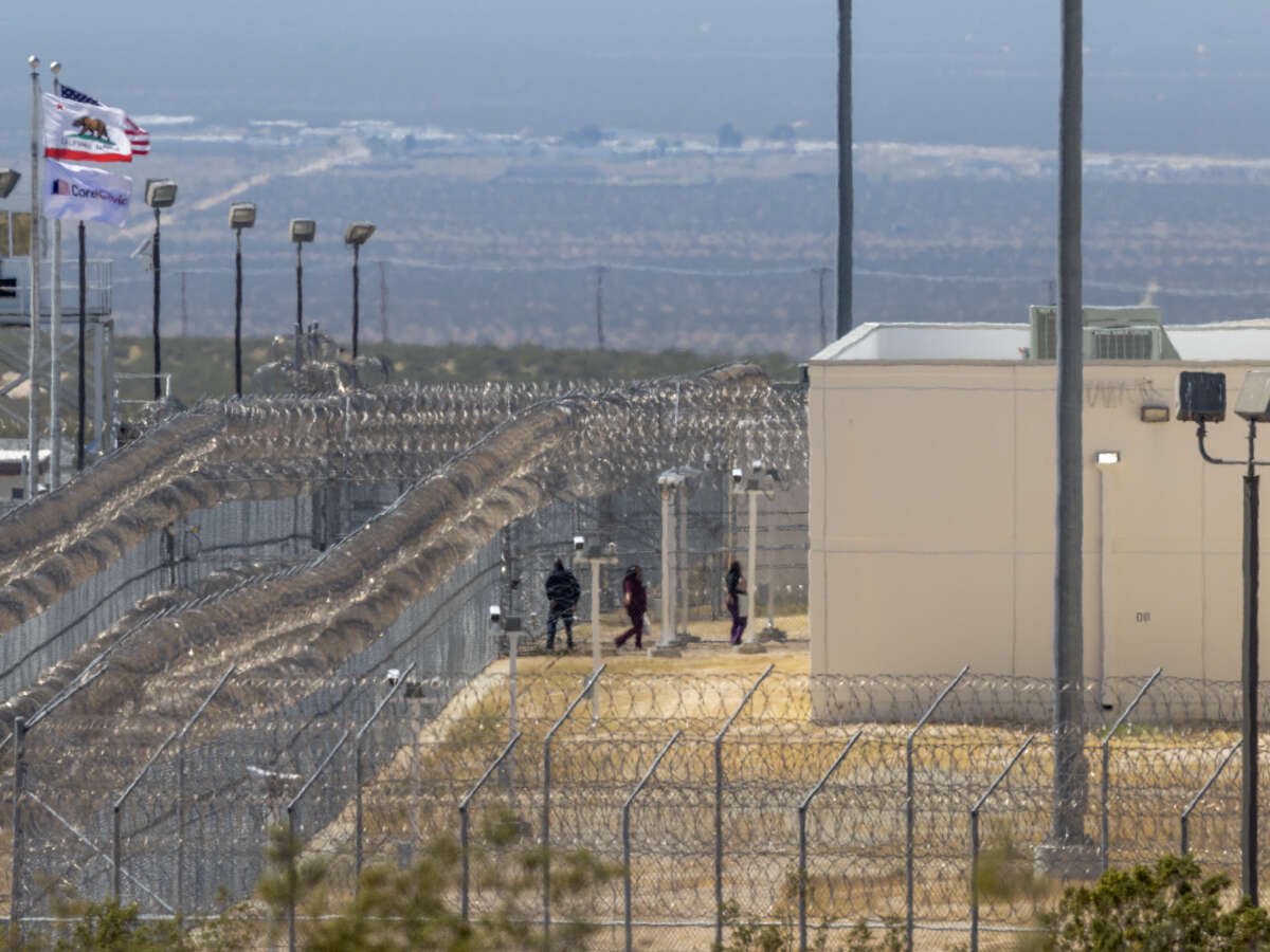 It’s Not Just Delaney. Immigration Jails Have Had Hundreds of Hunger Strikes.