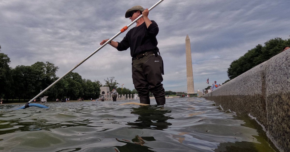The Reflecting Pool Mess Is Right Out of Trump’s Destructive Playbook