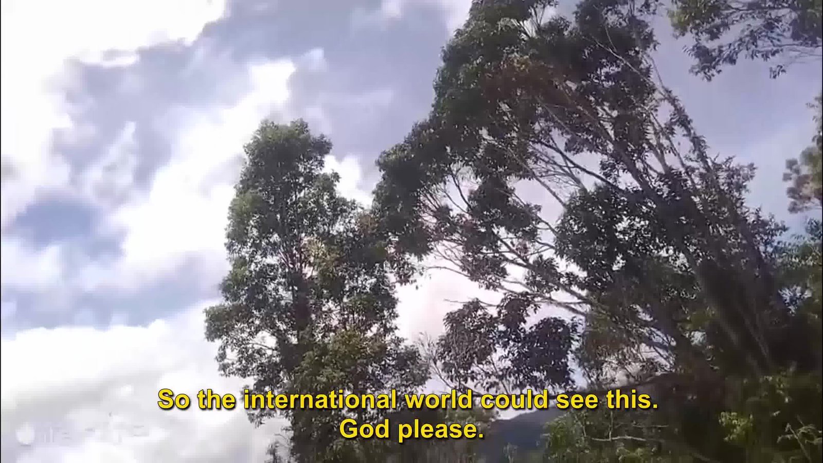 Guerilla Fighters in West Papua Are Facing Extermination by Indonesia's High-Tech Forces