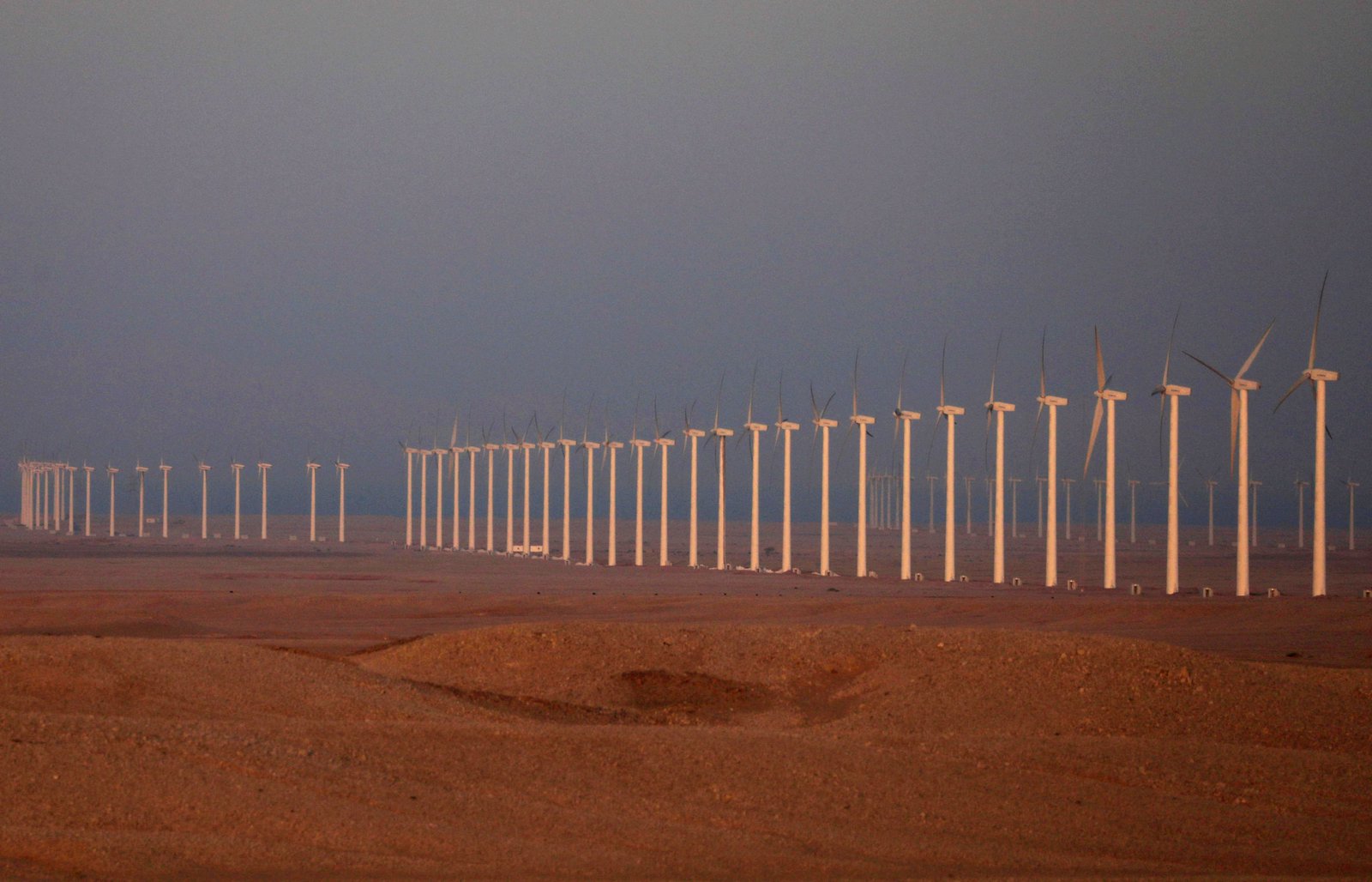 Egypt, Somalia announce plans to boost renewables