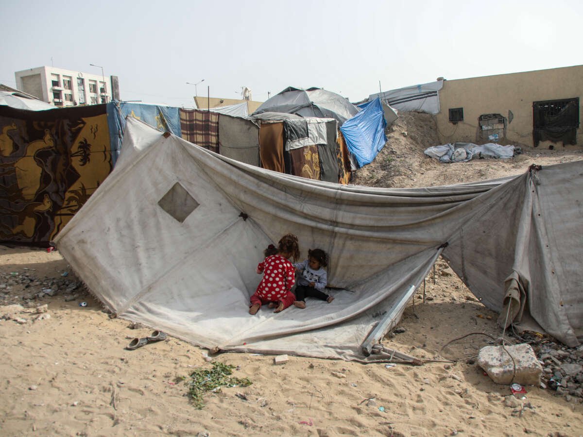 Lacking Proper Sanitation, Gaza’s Tent Camps Are Being Overrun by Rodents