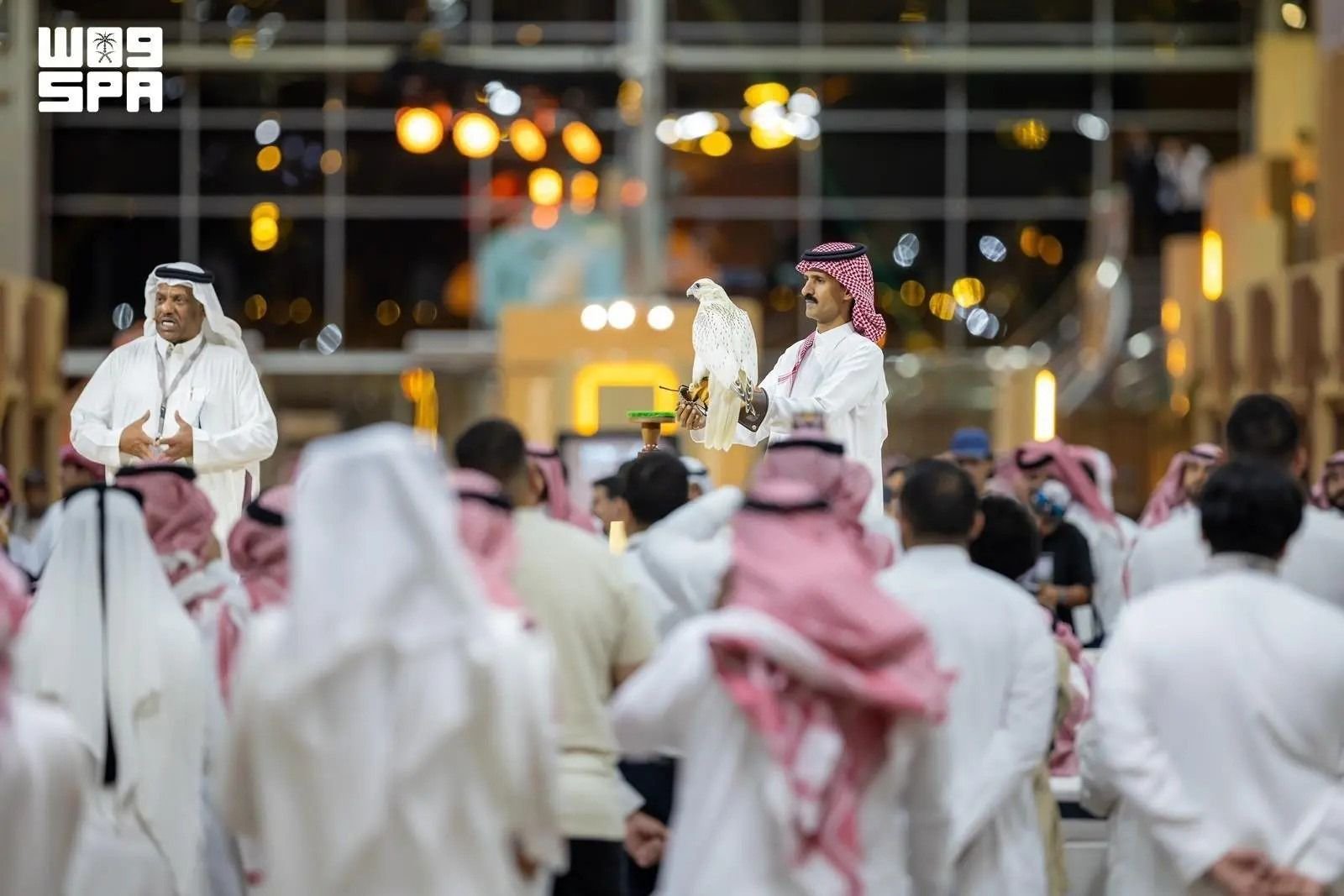 Falcon frenzy descends on Riyadh