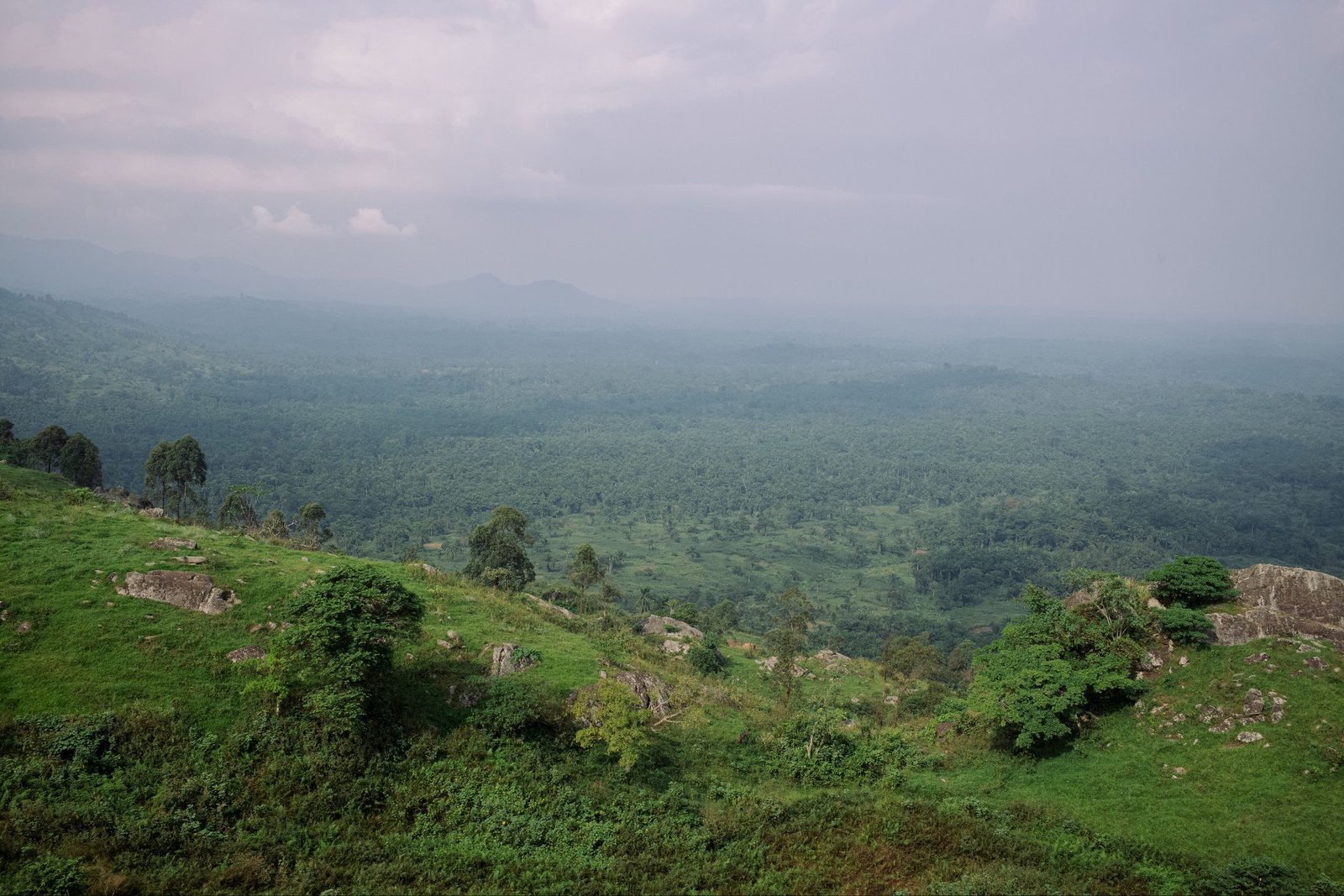 Investors bet on AI mining to win Africa minerals scramble