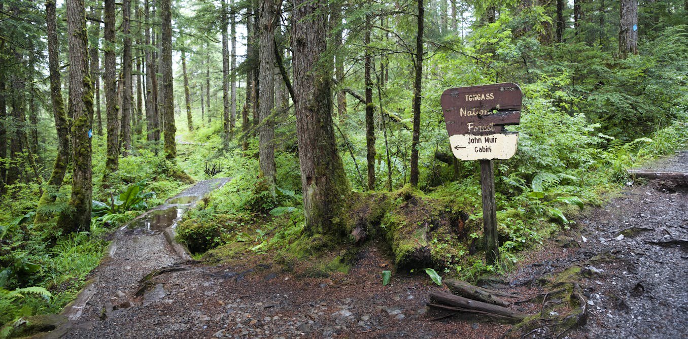 Paving paradise: Dismantling the US Roadless Rule threatens to disrupt wildlife, water and peace in the last quiet places in America