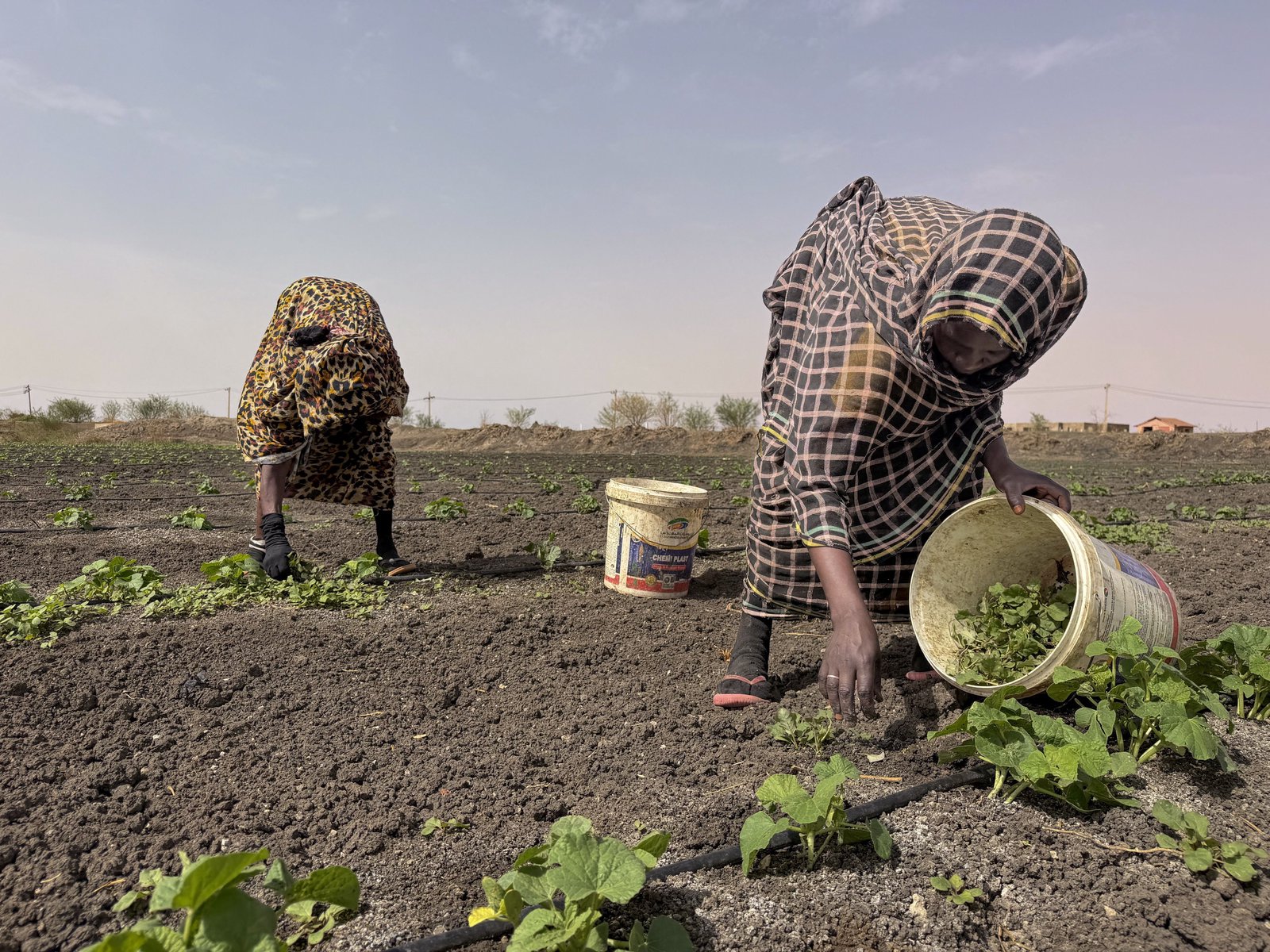 War and changing weather intensify food security concerns