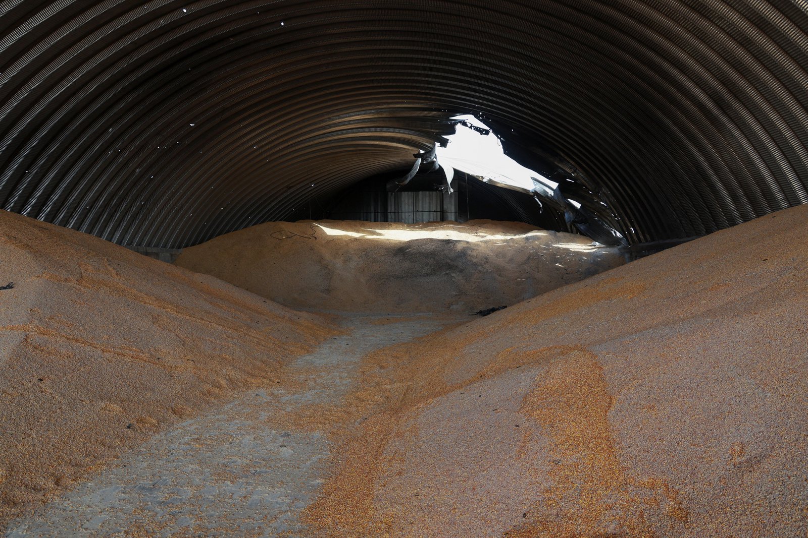 Strikes on Black Sea ports threaten global grain supplies