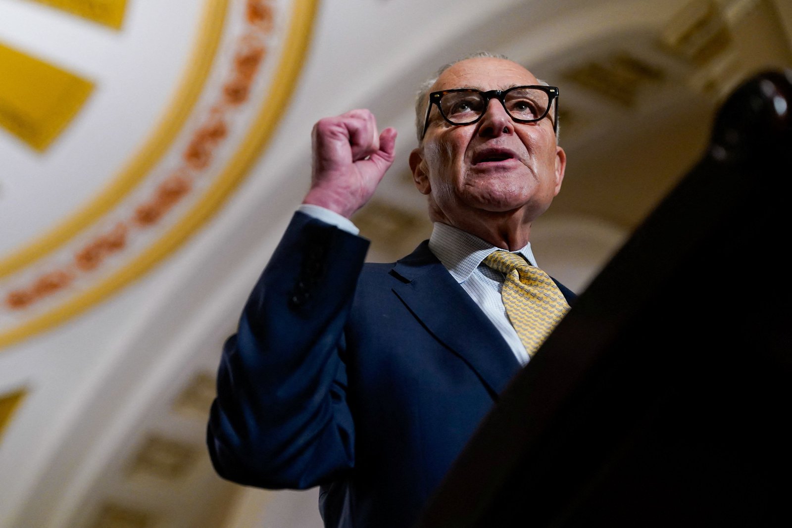 Collins knocks Schumer amid funding battle