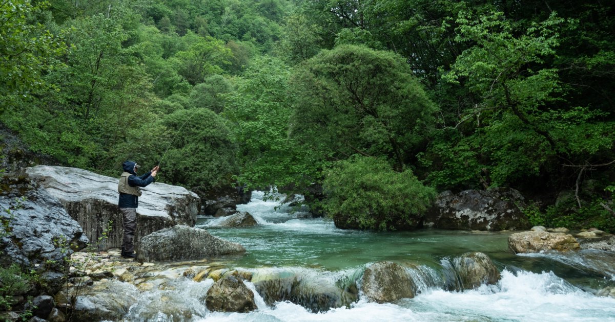 These Researchers Are Working to Quantify the Value of Nature
