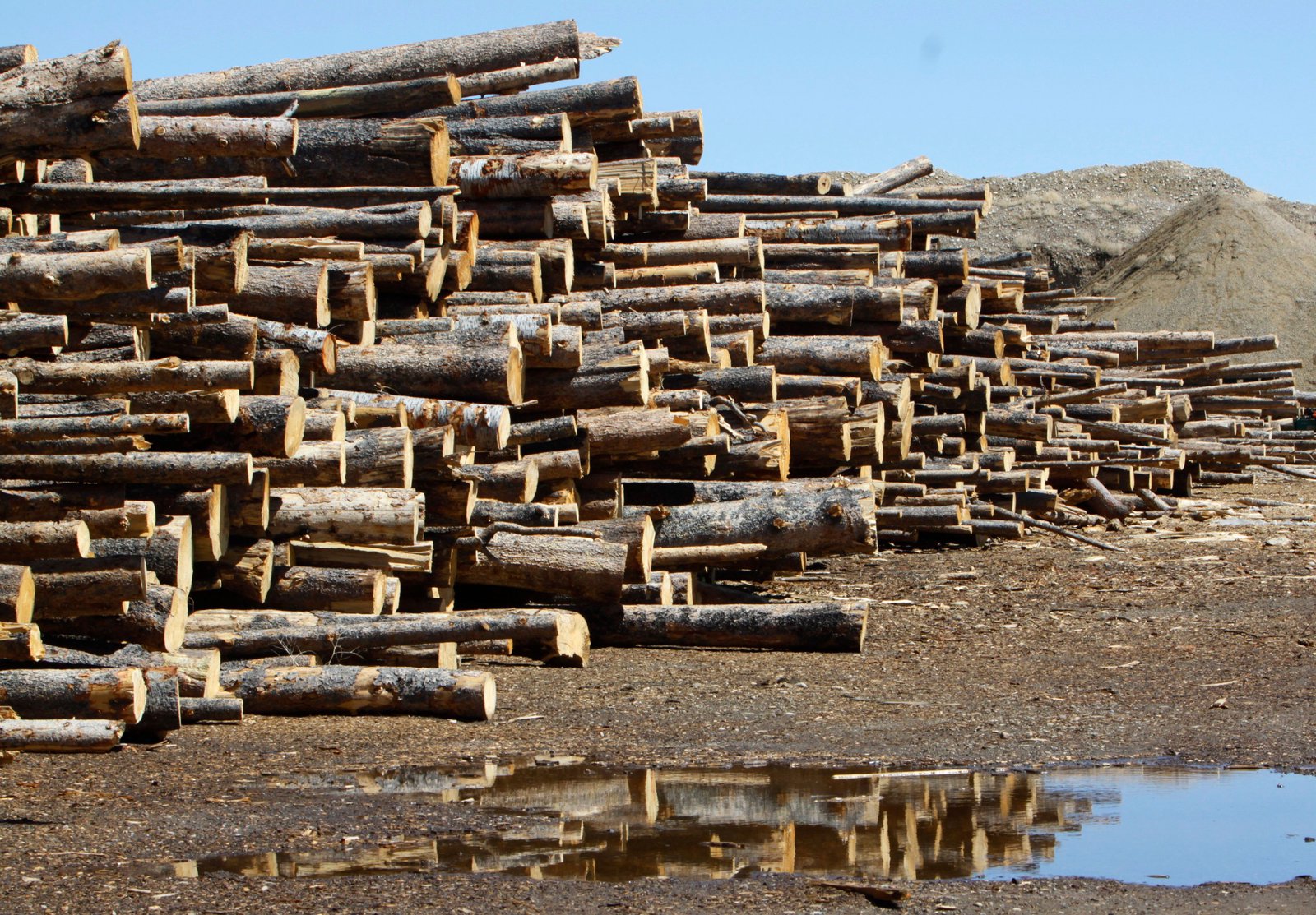 Wood pellet power is under the microscope like never before