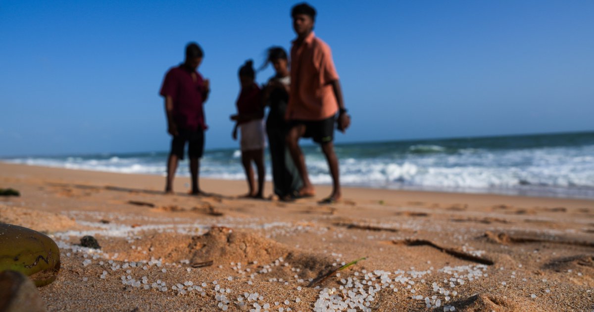 Scary Findings on Microplastics in Our Bodies May Be Flawed. That’s Good—and Bad.
