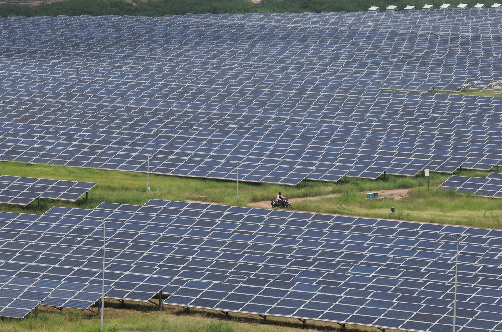 Oversupply puts India's solar boom at risk