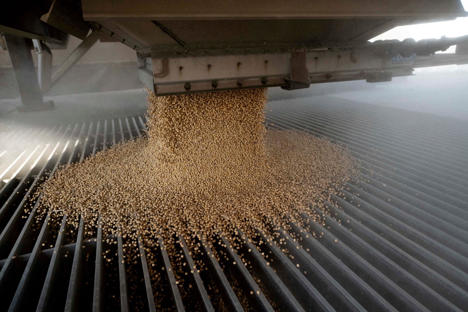 China’s US soybean imports fall to zero amid tariff disruption