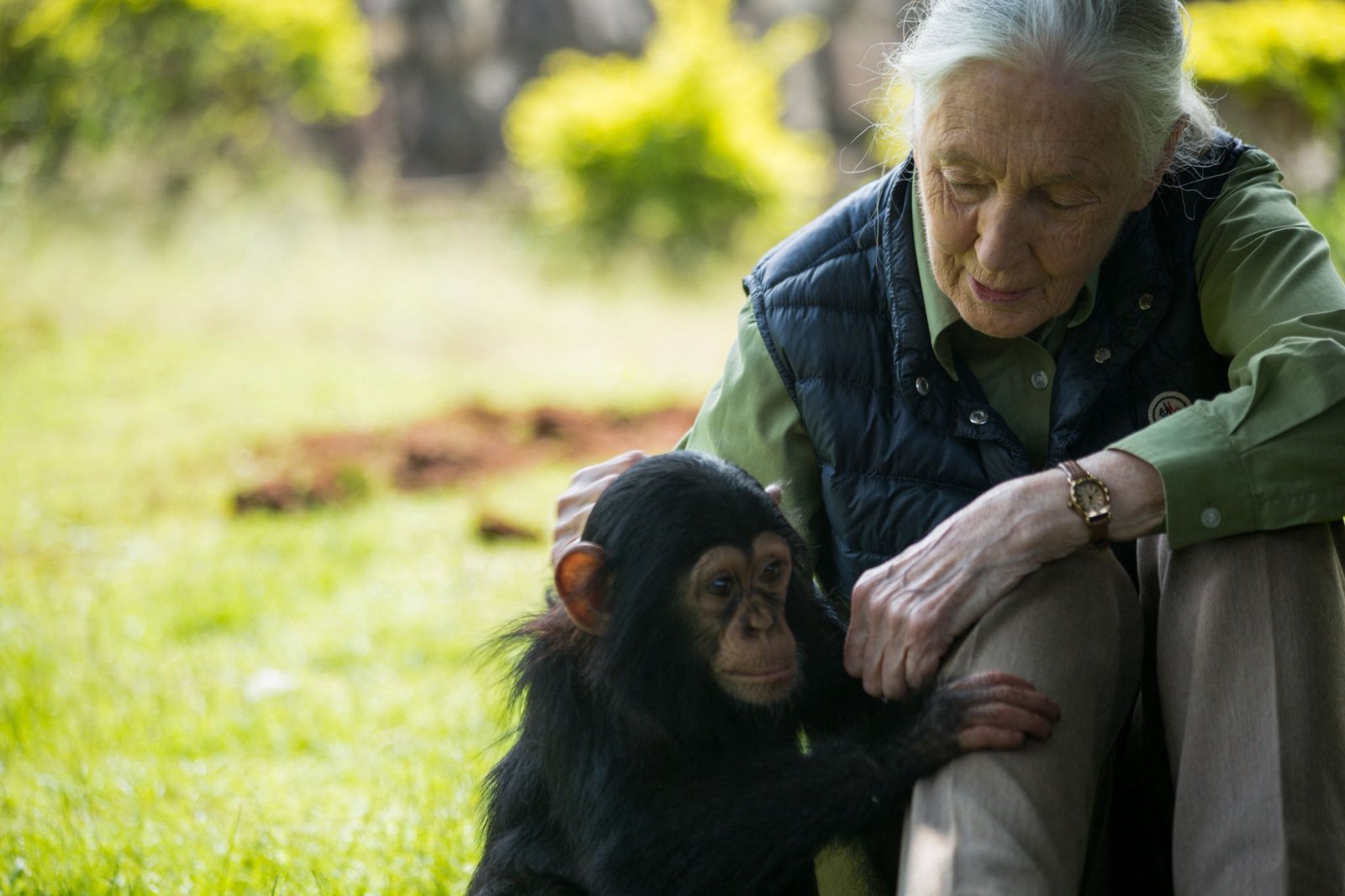 Renowned conservationist Jane Goodall dies