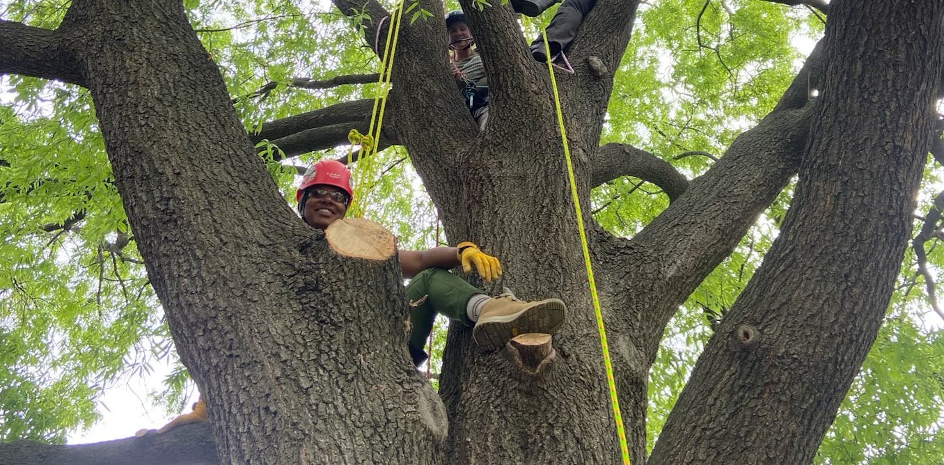 Students branch out and climb trees to learn up close how to care for them and why they help cities flourish