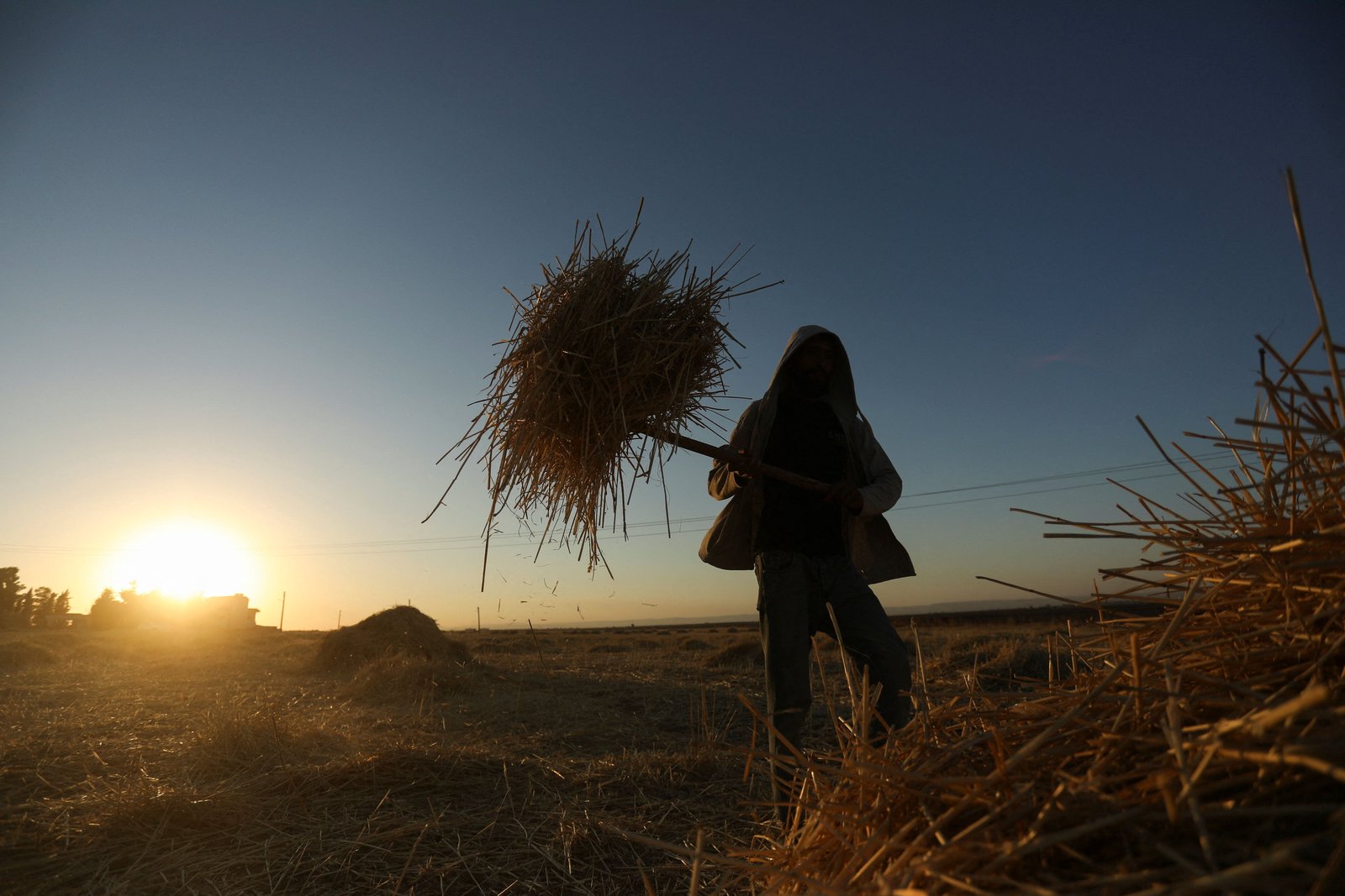 Qatari group develops $3.3 billion agricultural project in Syria