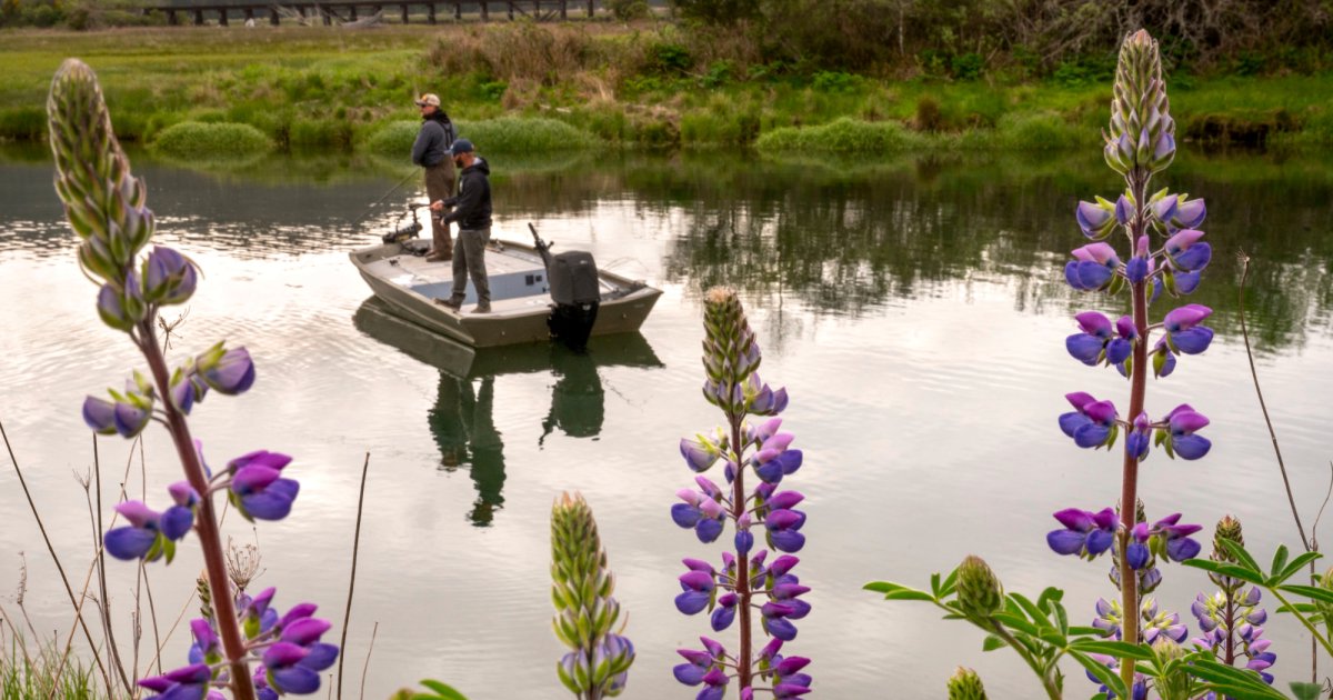 Oregon Bill Would Tax Tourists to Protect Animals and Their Habitats