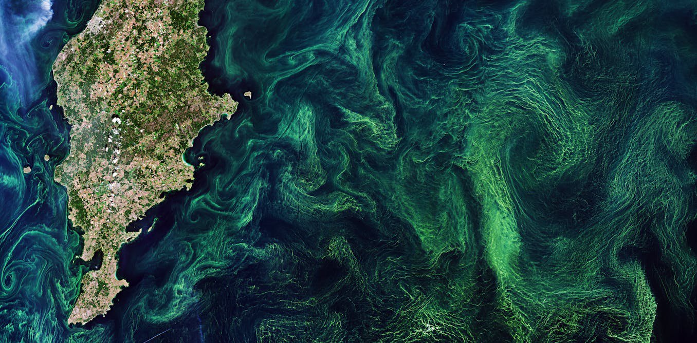 Climate engineering would alter the oceans, reshaping marine life – our new study examines each method’s risks
