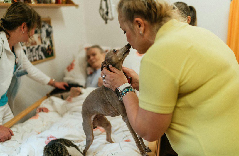 Steps to Enroll in a Pet-Friendly Rehab Facility in Los Angeles