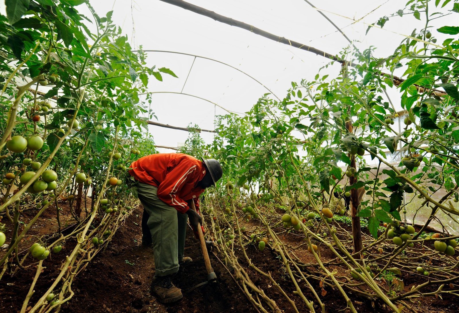Startup investor Novastar launches $147M climate fund