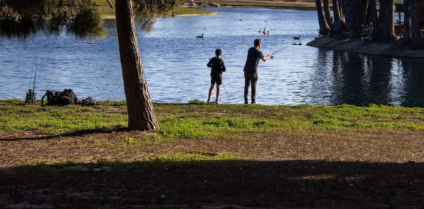 Recreational fishing in the US catches far more fish than previously estimated