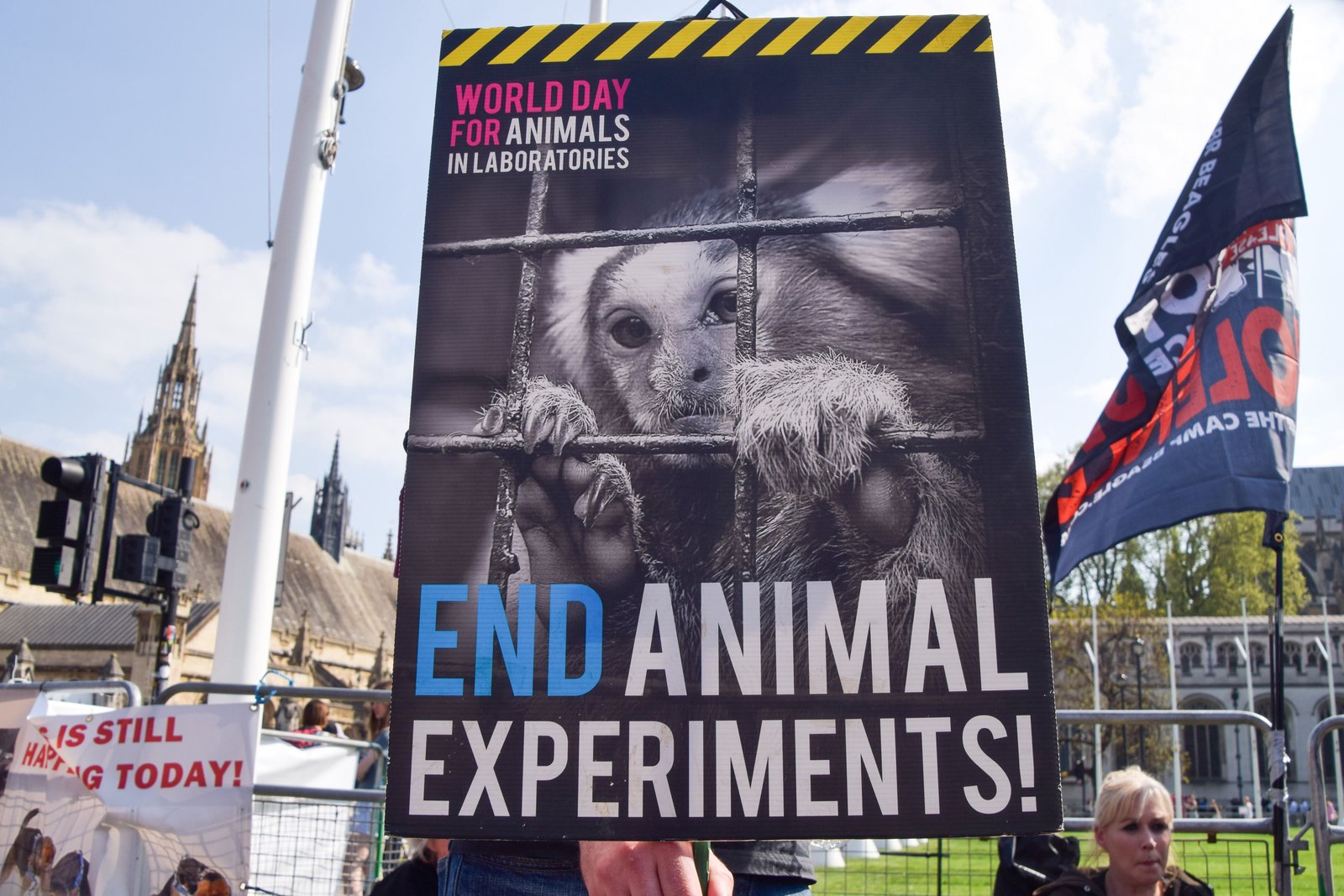 UK aims to reduce animal testing in research