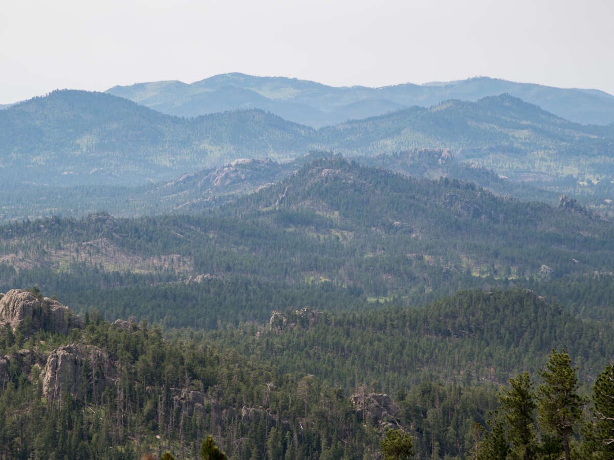 How Indigenous Organizers Defeated Plans to Mine a Sacred Black Hills Site