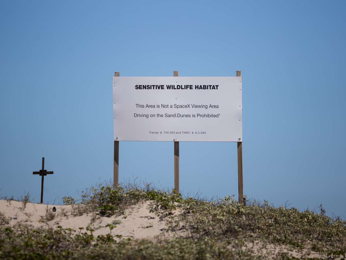 Conservation Groups Sue to Block SpaceX Land Deal in Texas Wildlife Refuge
