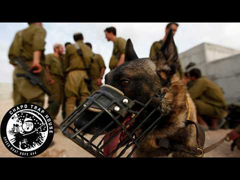 Do Israeli Rape Dungeons Include Dog Rape? | Chapo Trap House