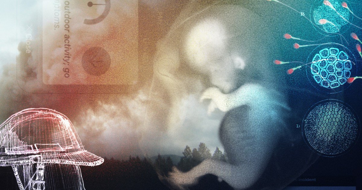 Wildfire Smoke Is Affecting People’s Sperm and Embryos, Studies Show