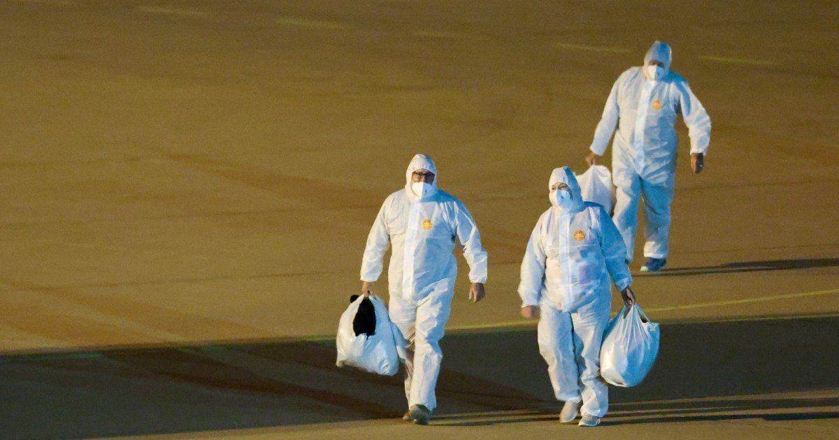 Antisemitic Hantavirus Conspiracy Theories Are Spreading—and the Platforms Are Hands Off