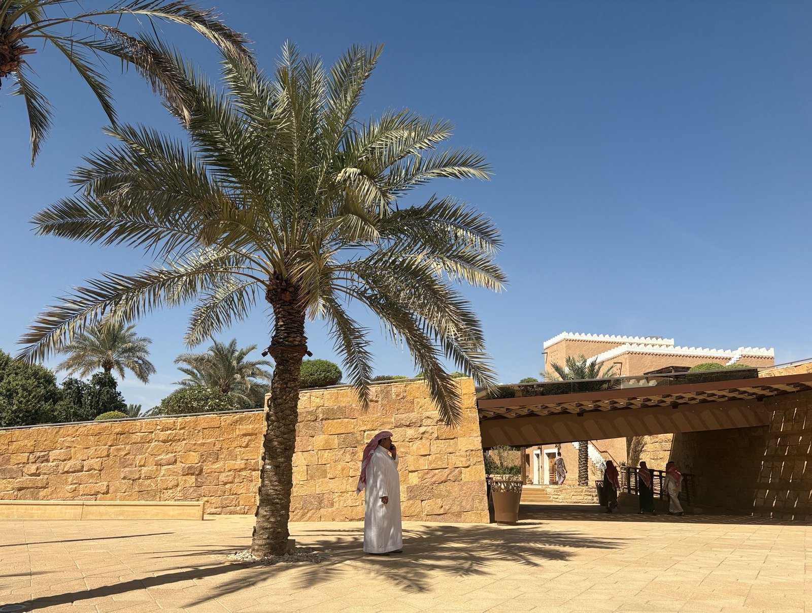Extreme heat casts doubt on viability of MidEast tree planting project