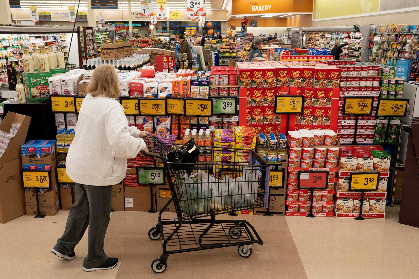 US inflation cools, but experts caution on shutdown-related data distortions
