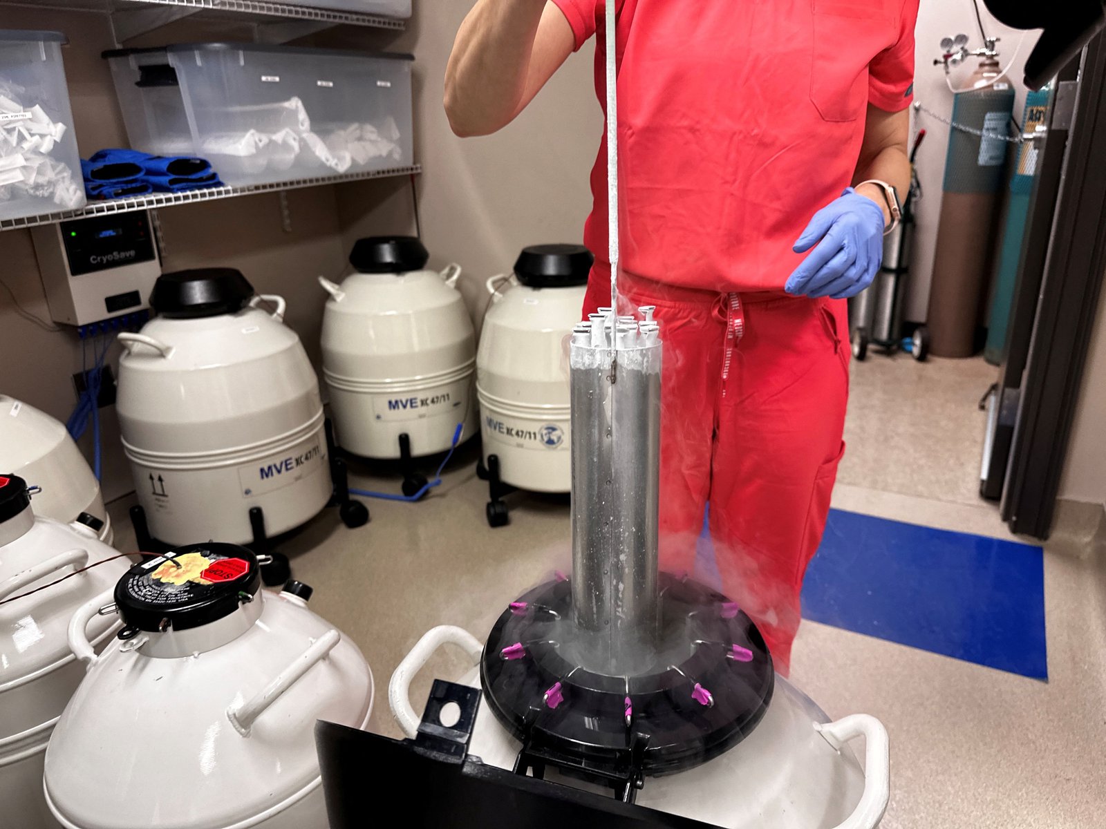Experimental IVF shows promise