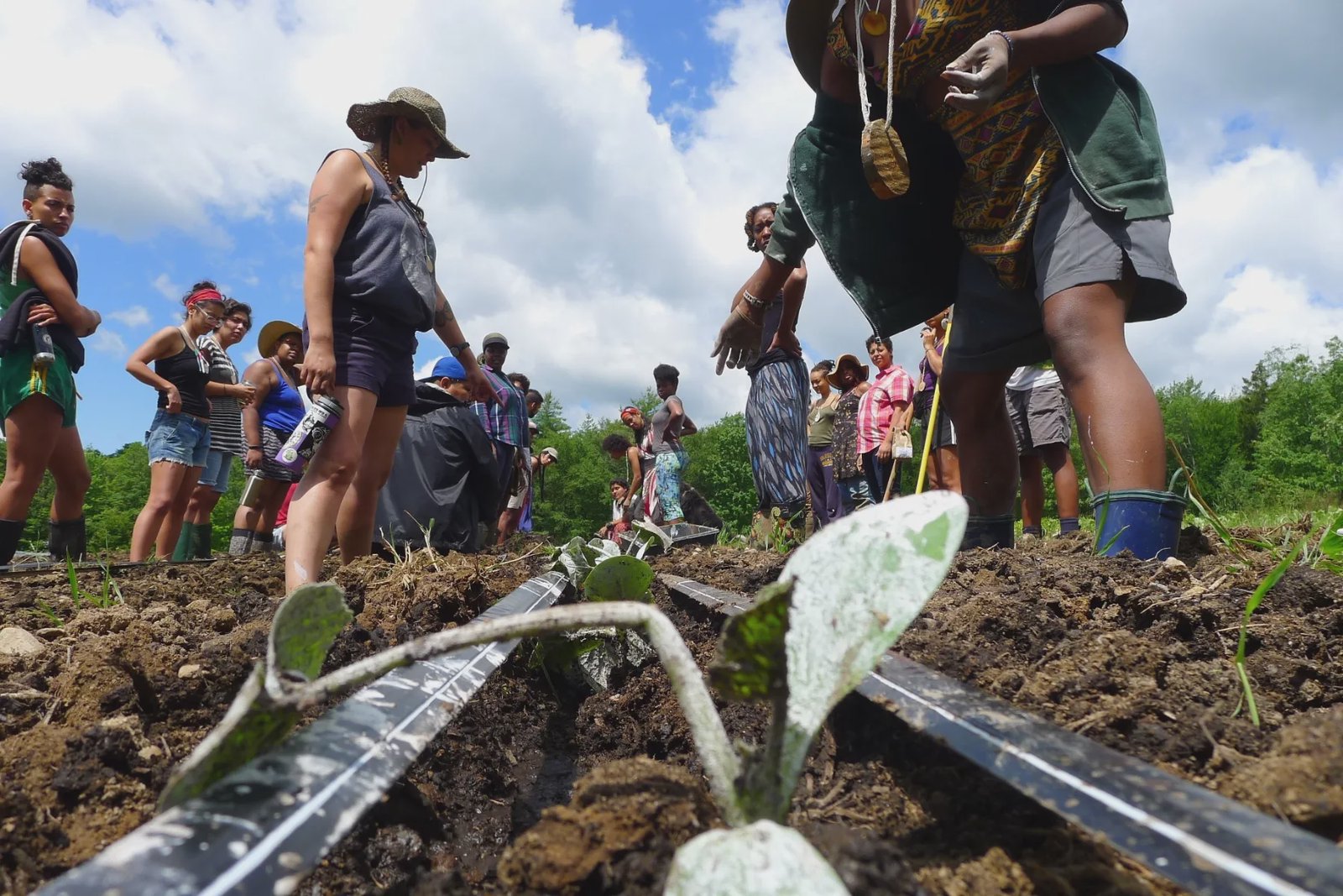 For Black Women Farmers, Tending the Land Is Ancestral and Healing