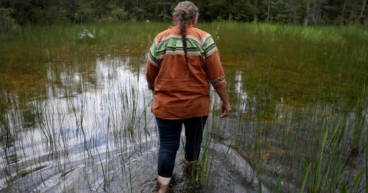 Out of Spite, Trump Used Veto Power to Punish Florida Tribe That Opposed “Alligator Alcatraz”