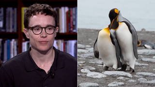 "Second Nature": Elliot Page on New Film Exploring Animal World Beyond the Binary